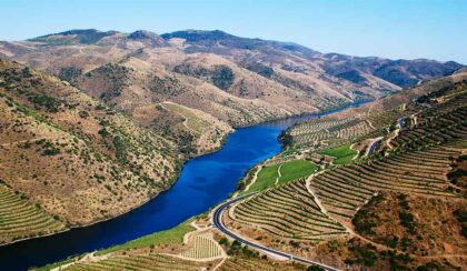 Port Wine Country - Portugal