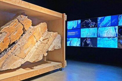 Foz Côa Rock Art - Portugal