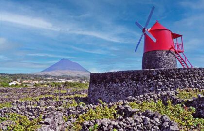 Pico Island - Azores