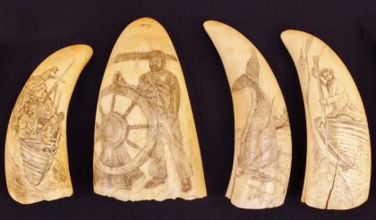 Scrimshaw, Azores, Portugal