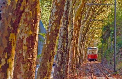 Sintra Tram - Portugal